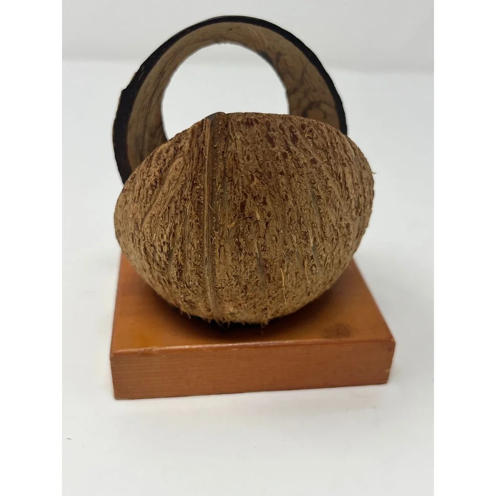 VTG Silver Springs Florida Coconut Shell Napkin Holder Tropical Tiki 3.5X3.5